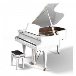 פסנתר כנף יפני 148 ס"מ