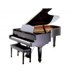 פסנתר כנף 223 ס"מ