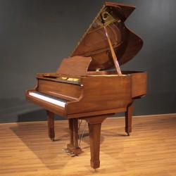 פסנתר כנף חום