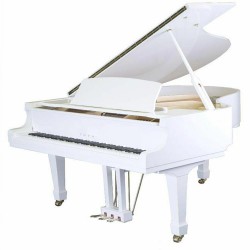 פסנתר כנף יפני 148 ס"מ