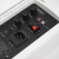 זוג רמקולים מוגברים 5.25"