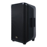 10" Active Coaxial Speaker