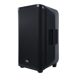 10" Active Coaxial Speaker