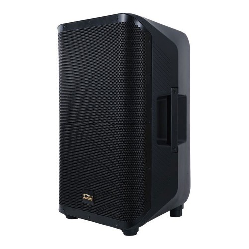 10" Active Coaxial Speaker