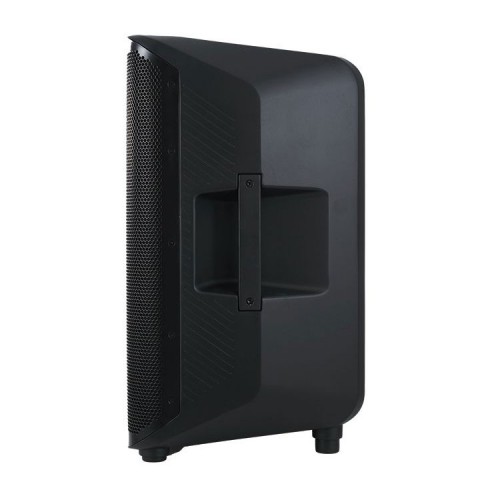 10" Active Coaxial Speaker