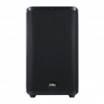 10" Active Coaxial Speaker