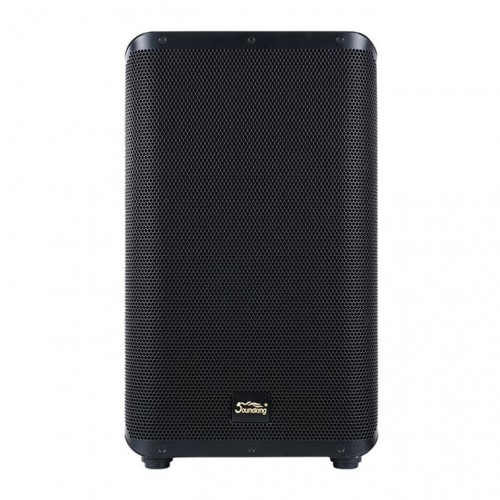 10" Active Coaxial Speaker