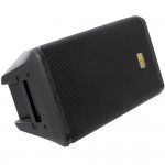 10" Active Coaxial Speaker