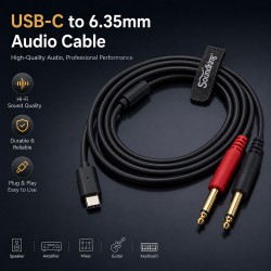 Type C to 6.35, 2m Cable
