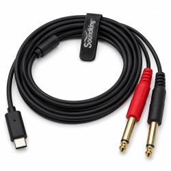 Type C to 6.35, 2m Cable