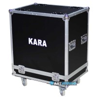 Kara Case Top*3