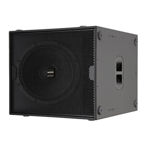 1000W RMS Subwoofer