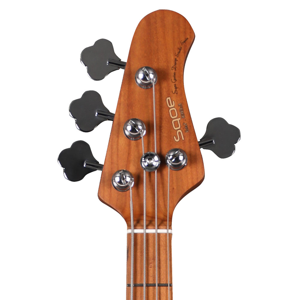 Pro Bass Guitar Pro Bass Guitar