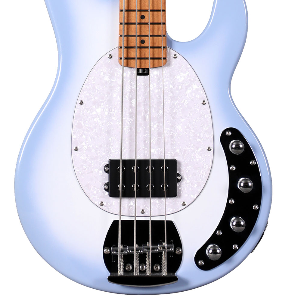 Pro Bass Guitar Pro Bass Guitar