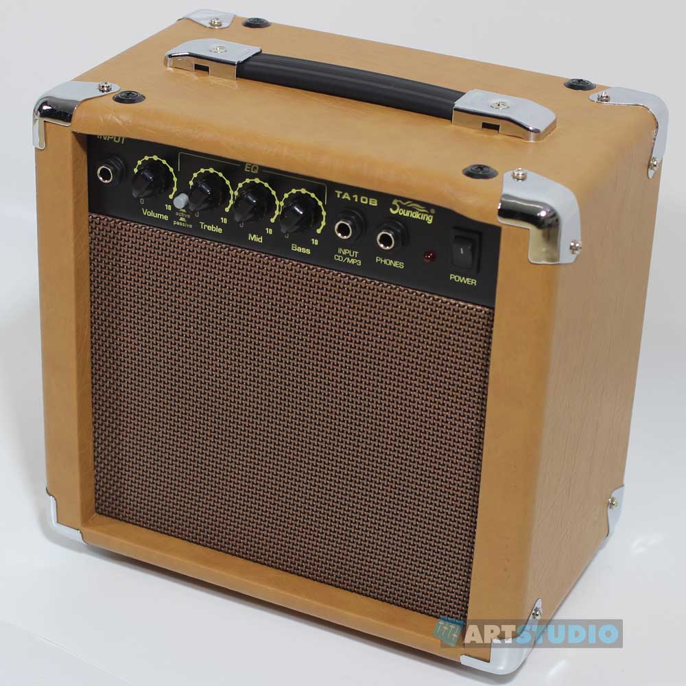 מגבר בס 20W