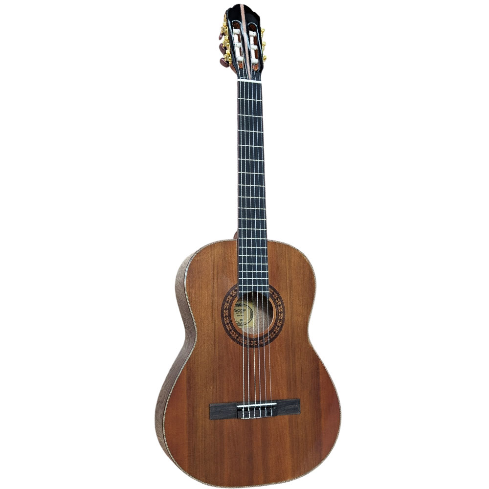 Spruce Top Guitar