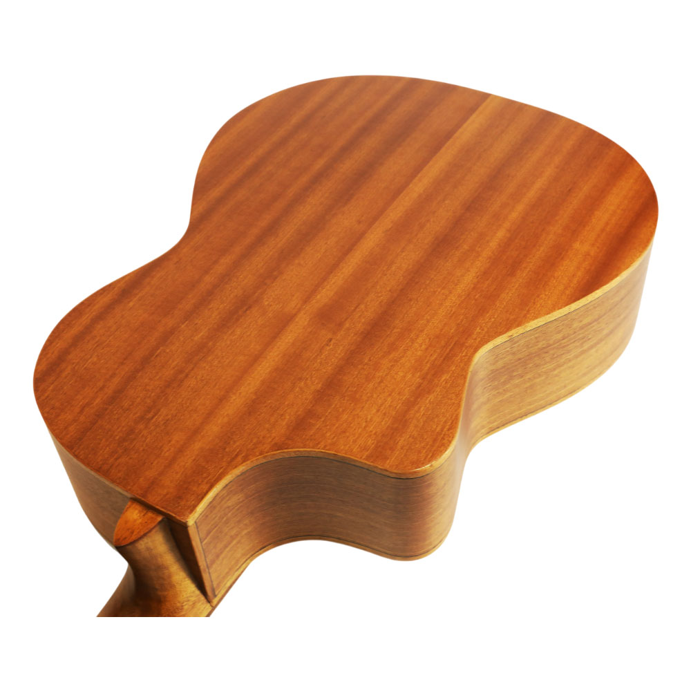 Spruce Top Guitar