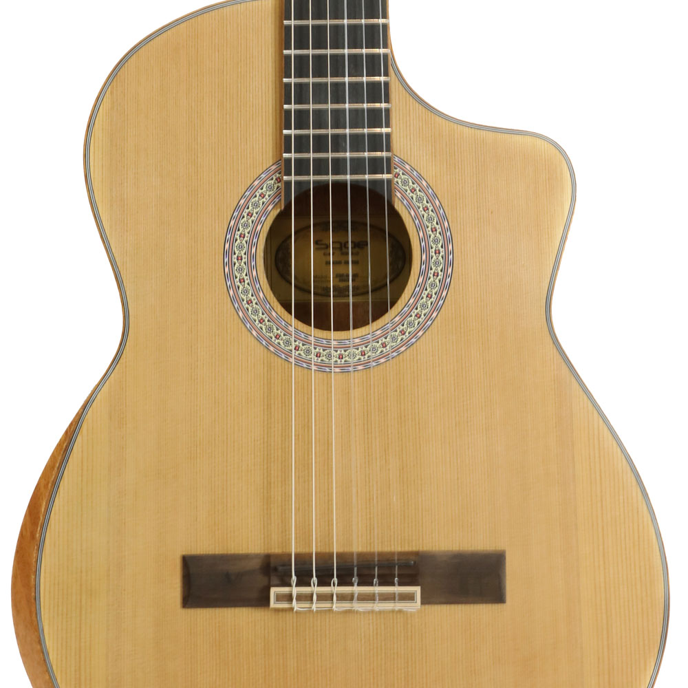 Spruce Top Guitar