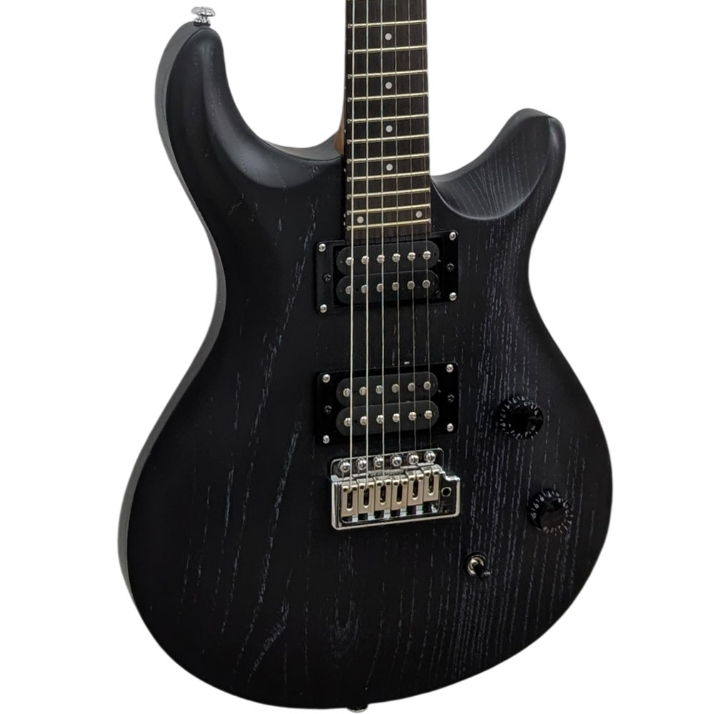 Pro Electric Guyitar