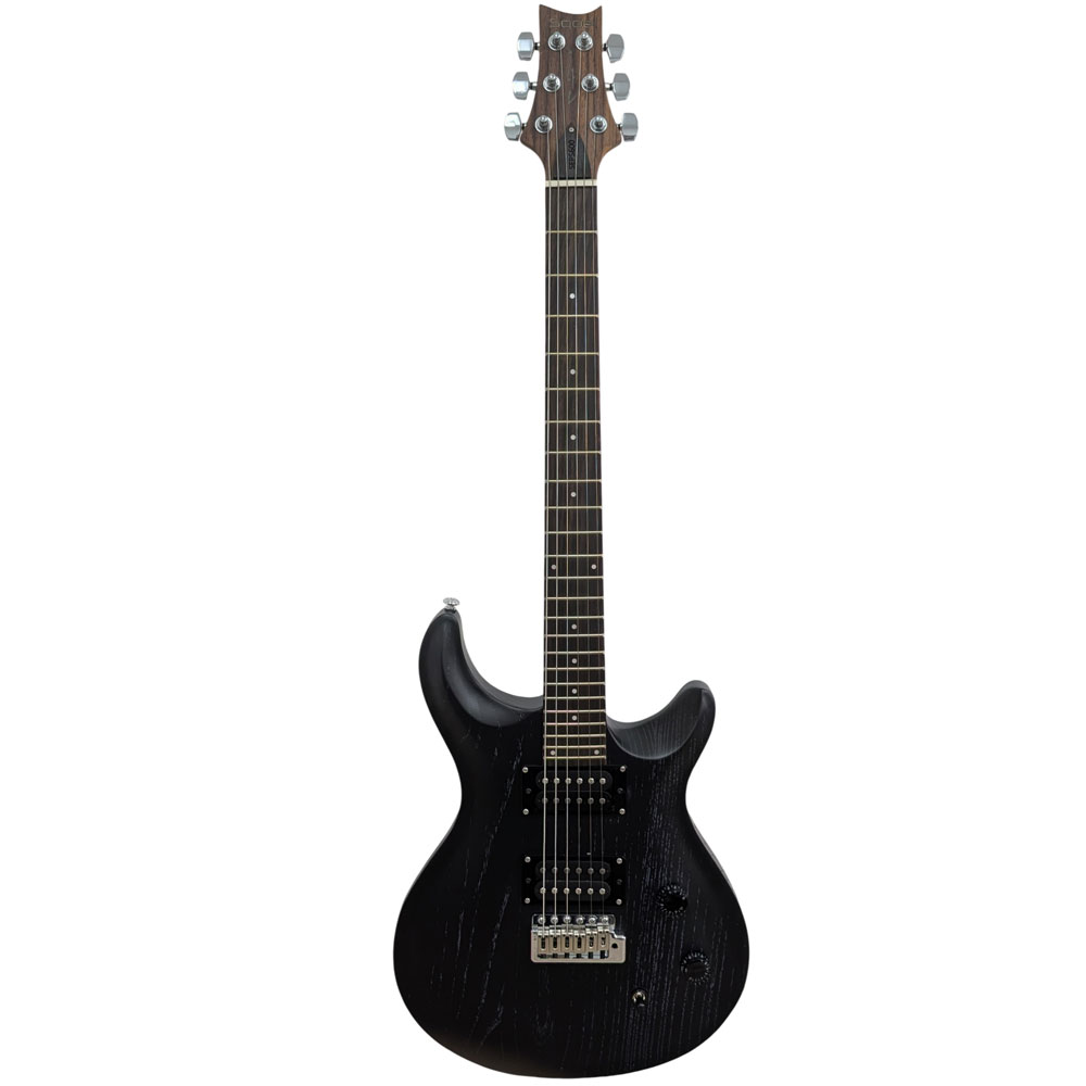 Pro Electric Guyitar