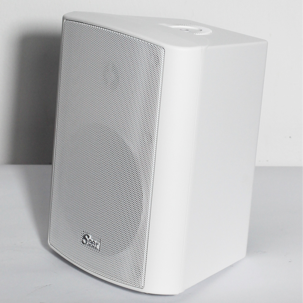100W זוג רמקולים מוגברים