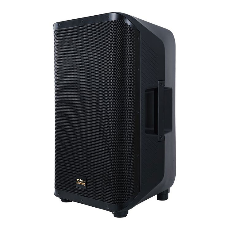 15" Active Coaxial Speaker