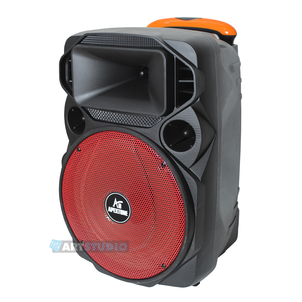 בידורית 12" / 450W