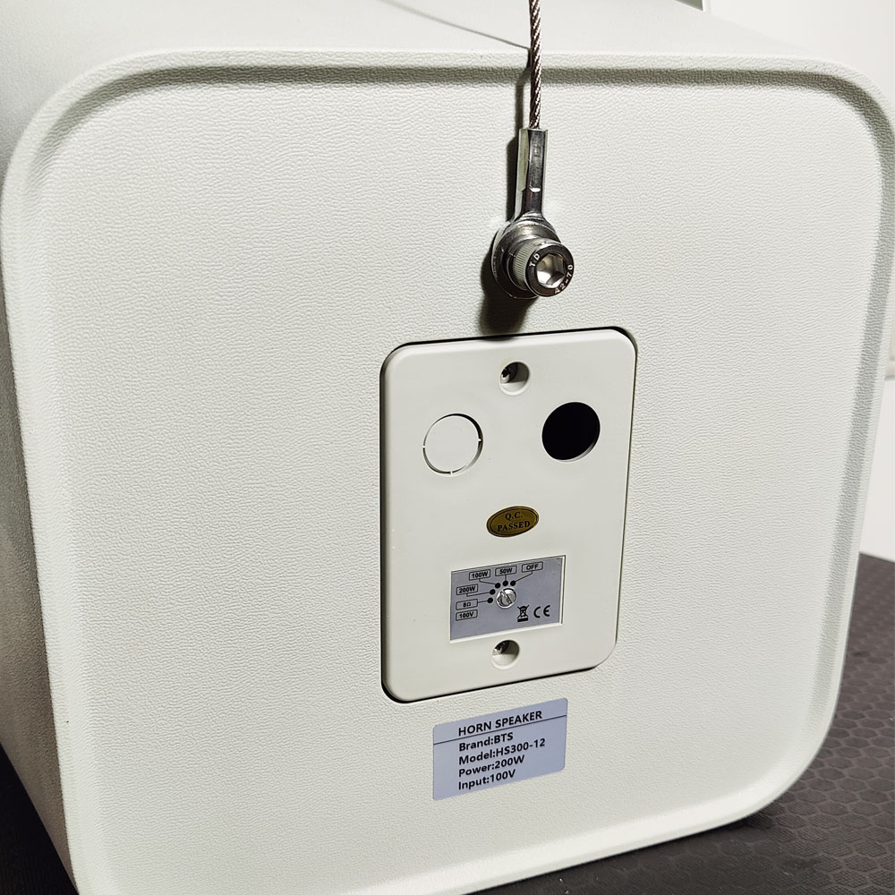 300W All-Weather Speker