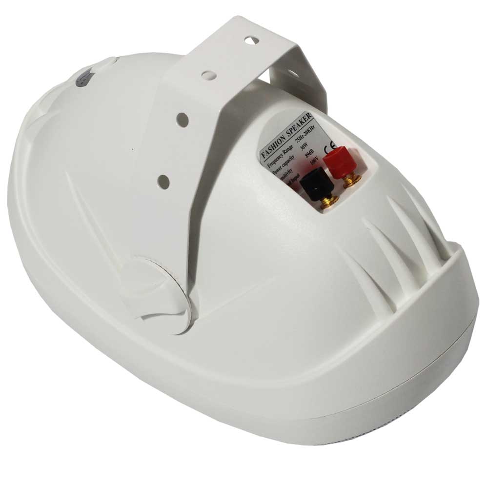 רמקול 30Watt RMS שנאי קו רמקול 30Watt RMS שנאי קו